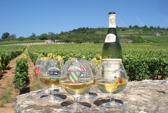 Wine glasses in Puligny Montrachet.JPG